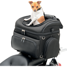 Load image into Gallery viewer, SADDLEMEN CONVERTIBLE PET CARRIER &amp; CARGO BAG 35150131