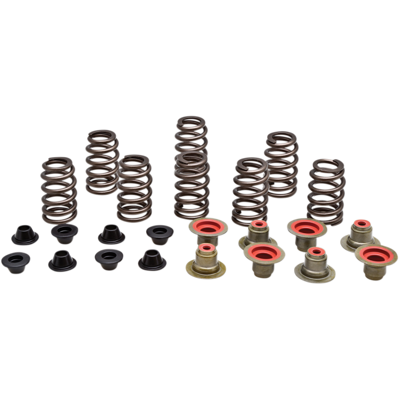 KIBBLEWHITE SPRING KT RZR XP1000 14+ 82-82550