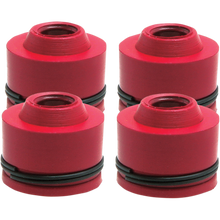 Load image into Gallery viewer, KIBBLEWHITE SEAL VLV GD KX250F 4/PK 71013-4