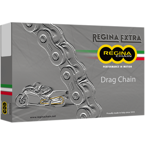 REGINA REGINA 530 DR CHAIN 140 LINKS 1121-0106 136DR/1004