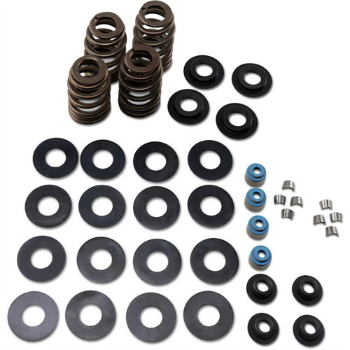 FEULING OIL PUMP CORP. 05-17 B/T ECONO BEE HIVE V/SPRING KIT 1121