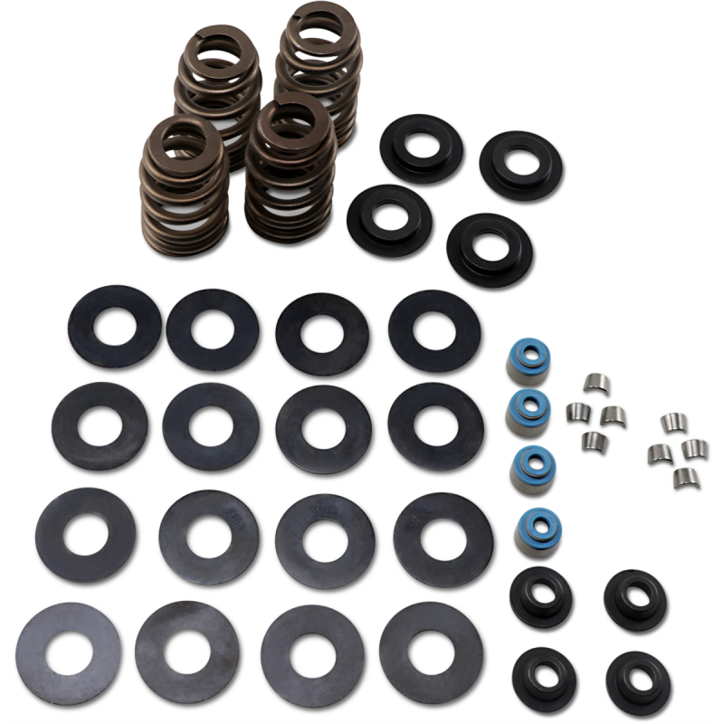 FEULING OIL PUMP CORP. 05-17 B/T ECONO BEE HIVE V/SPRING KIT 1121
