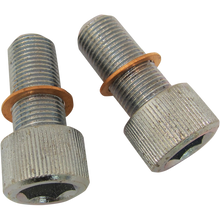 Load image into Gallery viewer, DRAG SPECIALTIES 06-17 FXD SCREWS W/WSHRS DMPR TB 2404-0547