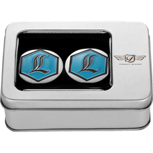 Load image into Gallery viewer, FIGURATI DESIGNS HARLEY-DAVIDSON SILVER LEGENDS SWING ARM COVERS FD02-LGD-SS