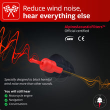 Load image into Gallery viewer, ALPINE HEARING PROTECTION EARPLUGS MOTOSAFE RACE - MOTOGP EDITION (PAIR OF PLUGS) 111.23.118