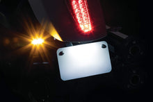Load image into Gallery viewer, Custom Rear Turn Signal &amp; License Plate Mount for Scout