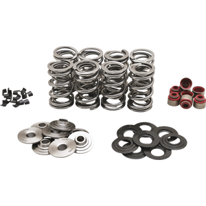 KIBBLEWHITE SPRING KT DUAL M8 .630 T  KT 20-23800