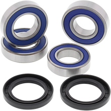 Load image into Gallery viewer, ALL BALLS 25-1563 WHEEL BEARING &amp; SEAL KIT 25-1563
