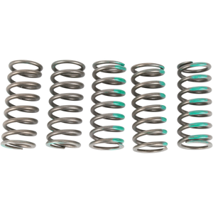 PRO CIRCUIT 06-20 KX450F/2008  KLX450R CLUTCH SPRING CSK19450-CS
