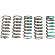 Load image into Gallery viewer, PRO CIRCUIT 06-20 KX450F/2008  KLX450R CLUTCH SPRING CSK19450-CS