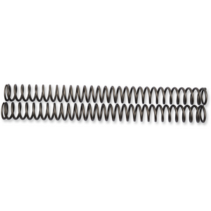 RACE TECH FORK SPRING .46KG FORK SPRING SET FRSP 444946