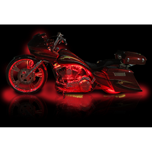 Load image into Gallery viewer, CUSTOM DYNAMICS LIGHT FLEX2 24 RED MQ24RED