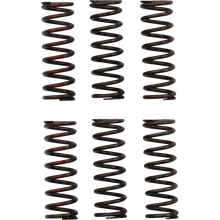 Load image into Gallery viewer, PRO CIRCUIT CLUTCH SPRING CRF450R CSH21450-CS