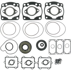 WINDEROSA COMPLETE GASKET SET ARTIC 711216