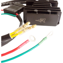 Load image into Gallery viewer, RICK'S MOTORSPORT ELECTRIC CHARGING KIT LITH-ION 14-99-101