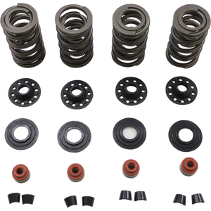 KIBBLEWHITE SPRING KIT 05-17 TC/XL 20-23600