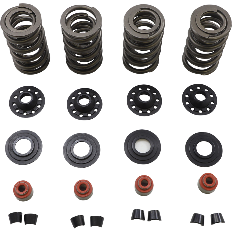 KIBBLEWHITE SPRING KIT 05-17 TC/XL 20-23600