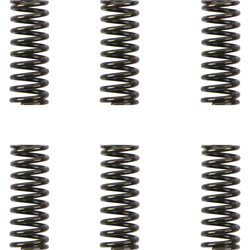 BARNETT DUCATI CLUTCH SPRING KIT 501-42-06111