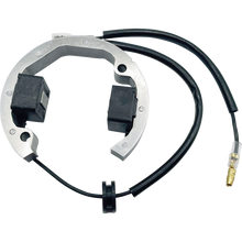 Load image into Gallery viewer, RICK'S MOTORSPORT ELECTRIC STATOR KTM 21-0093