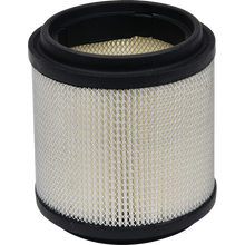 Load image into Gallery viewer, ALL BALLS AIR FILTER POLARIS 48-1022