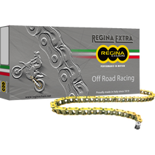 Load image into Gallery viewer, REGINA REGINA 520 GPXV X 120 LINKS 135GPXV/001