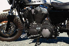 Load image into Gallery viewer, KURYAKYN DILLINGER PEGS WITH MALE MOUNT ADAPTERS, SILVER PN 6666 KUR6666