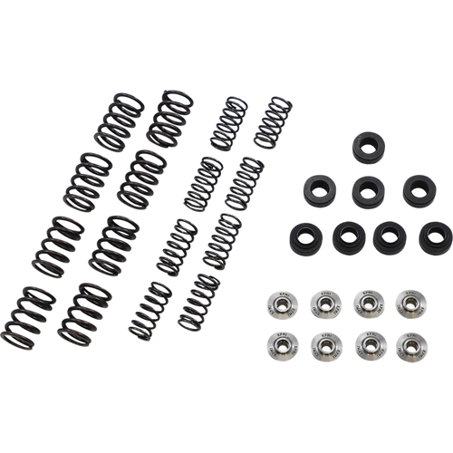 KIBBLEWHITE SPRING KIT KAW650 06-16 (KT) 40-40800