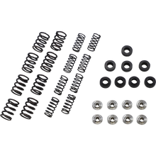Load image into Gallery viewer, KIBBLEWHITE SPRING KIT KAW650 06-16 (KT) 40-40800
