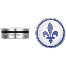 Load image into Gallery viewer, FIGURATI DESIGNS BLUE FLEUR-DE-LIS SWING ARM COVER SILVER FD05-SS