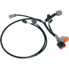 Load image into Gallery viewer, Namz Ignition Wiring Harness
