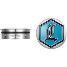 Load image into Gallery viewer, FIGURATI DESIGNS HARLEY-DAVIDSON SILVER LEGENDS SWING ARM COVERS FD02-LGD-SS