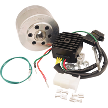 Load image into Gallery viewer, RICK'S MOTORSPORT ELECTRIC CHARGING KIT HONDA 14-99-111