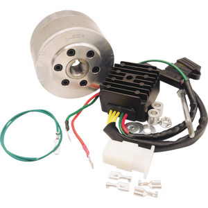 RICK'S MOTORSPORT ELECTRIC CHARGING KIT HONDA 14-99-111