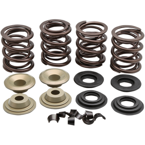 KIBBLEWHITE VALVE SPRING KIT 66-E84BT .600LIFT 20-2110