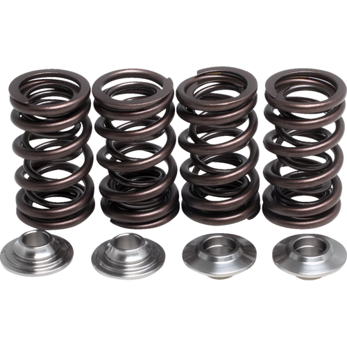 KIBBLEWHITE SPRING KT PTR500 03-07 (KT) 82-82012