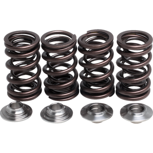 KIBBLEWHITE SPRING KT PTR500 03-07 (KT) 82-82012