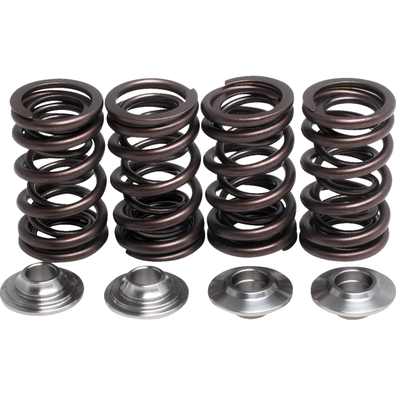 KIBBLEWHITE SPRING KT PTR500 03-07 (KT) 82-82012