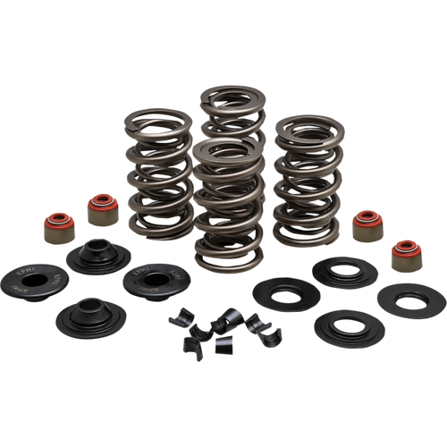KIBBLEWHITE SPRING KIT 05-17 TC/XL 20-23500