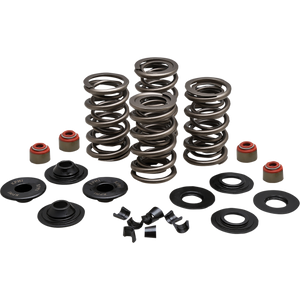 KIBBLEWHITE SPRING KIT 05-17 TC/XL 20-23500