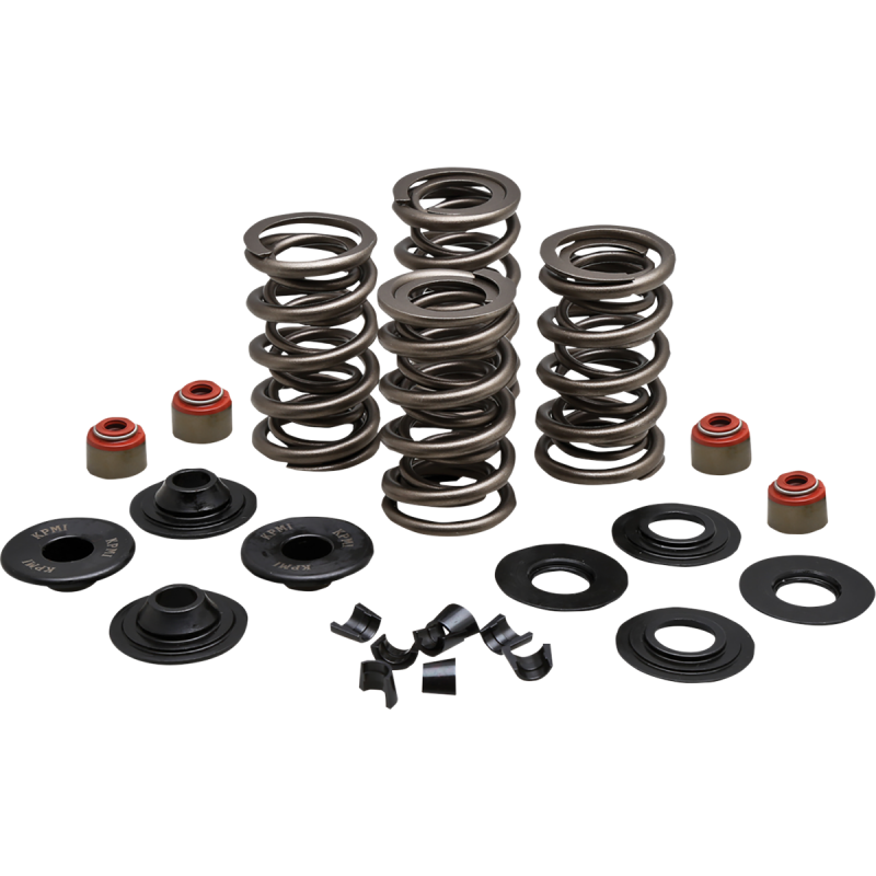 KIBBLEWHITE SPRING KIT 05-17 TC/XL 20-23500