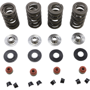 KIBBLEWHITE SPRING KIT 05-17 TC/XL 20-23650
