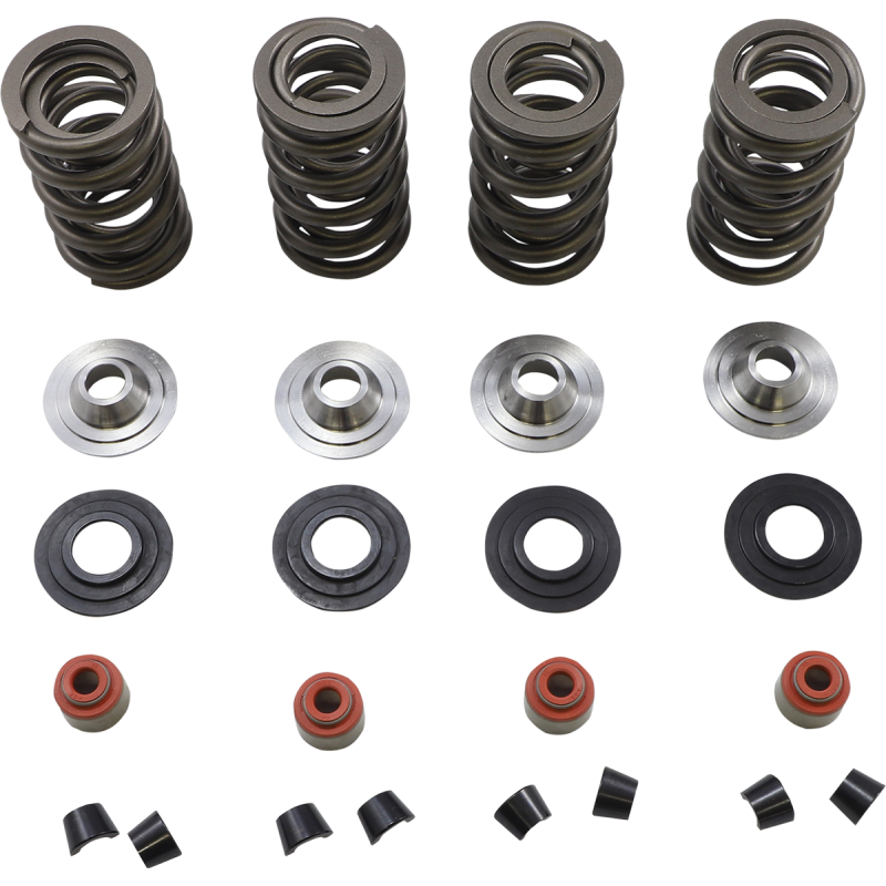 KIBBLEWHITE SPRING KIT 05-17 TC/XL 20-23650