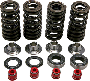 KIBBLEWHITE SPRING KIT CRF250R 30-30590