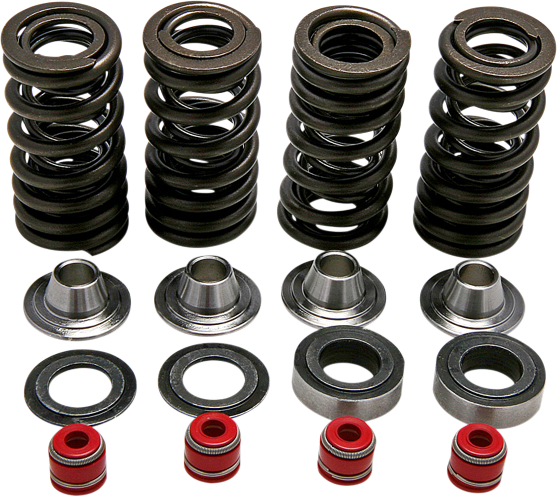 KIBBLEWHITE SPRING KIT CRF250R 30-30590