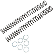 Load image into Gallery viewer, RACE TECH .46 KG/MM FORK SPRINGS 2006 YZ FRSP 444546