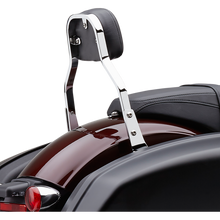 Load image into Gallery viewer, COBRA DTCH BKRST MINI FLSB 2018 602-2031