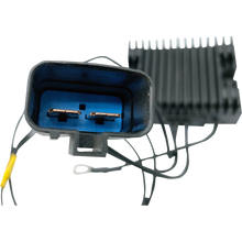 Load image into Gallery viewer, RICK'S MOTORSPORT ELECTRIC REG-REC HD 10-910B
