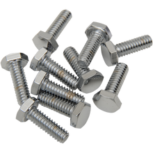 Load image into Gallery viewer, DRAG SPECIALTIES 1/4-20-3/4 HEX BOLT (10)COARSE CY-CHROME MPB114