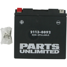 Load image into Gallery viewer, PARTS UNLIMITED BATTERIES CT14B-4 FACTORY ACTIVATED PC CT14B-4