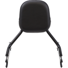 Load image into Gallery viewer, COBRA BACKREST SHORT CHTAIN BLK 502-2205B
